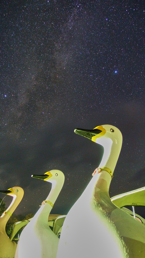 天の川 × 白鳥ボート