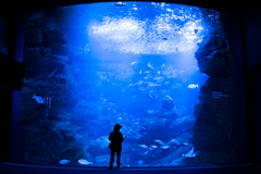 須磨水族館