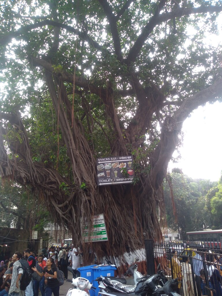 インドの街の主