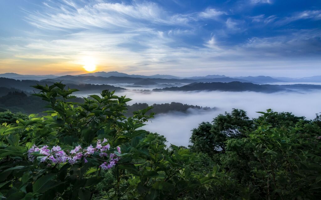 朝の情景