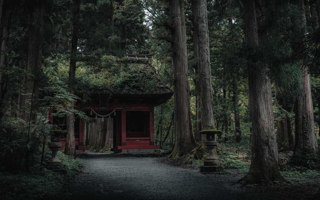 戸隠神社 随神門