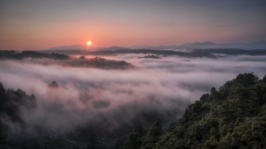 雲海