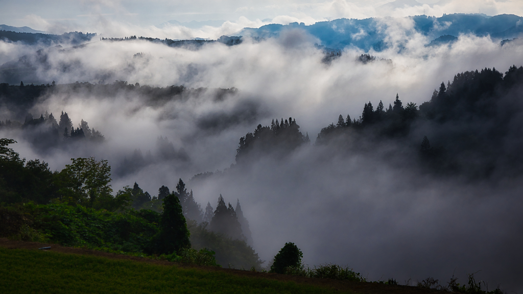 朝霧沸き立つ