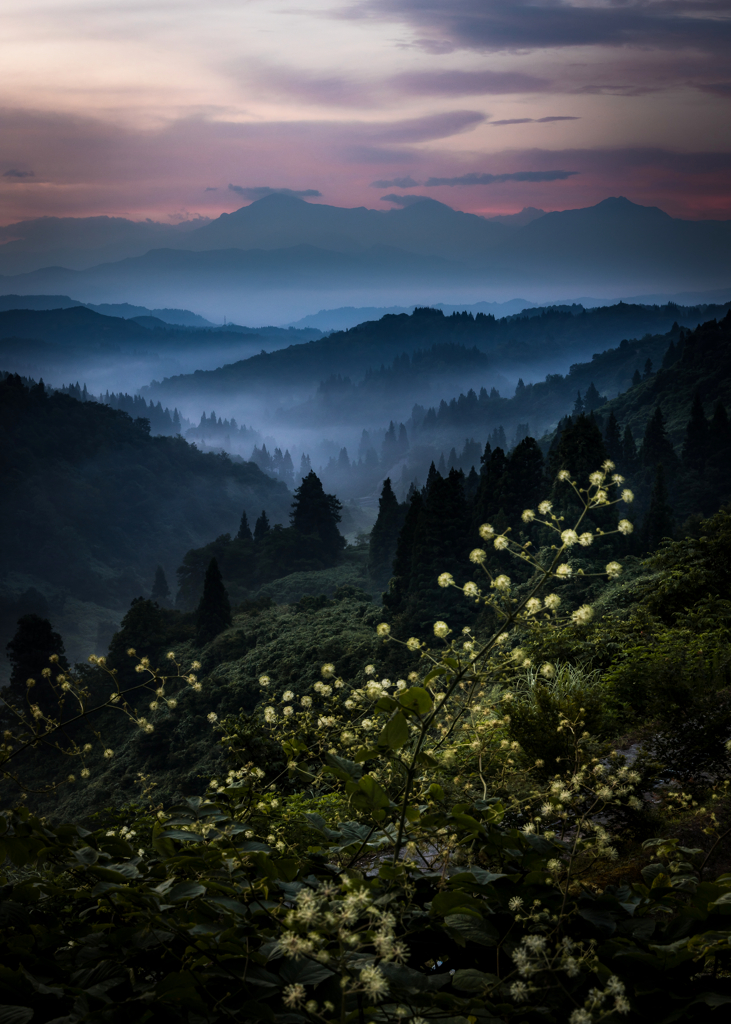 はなこ(越後三山)の朝