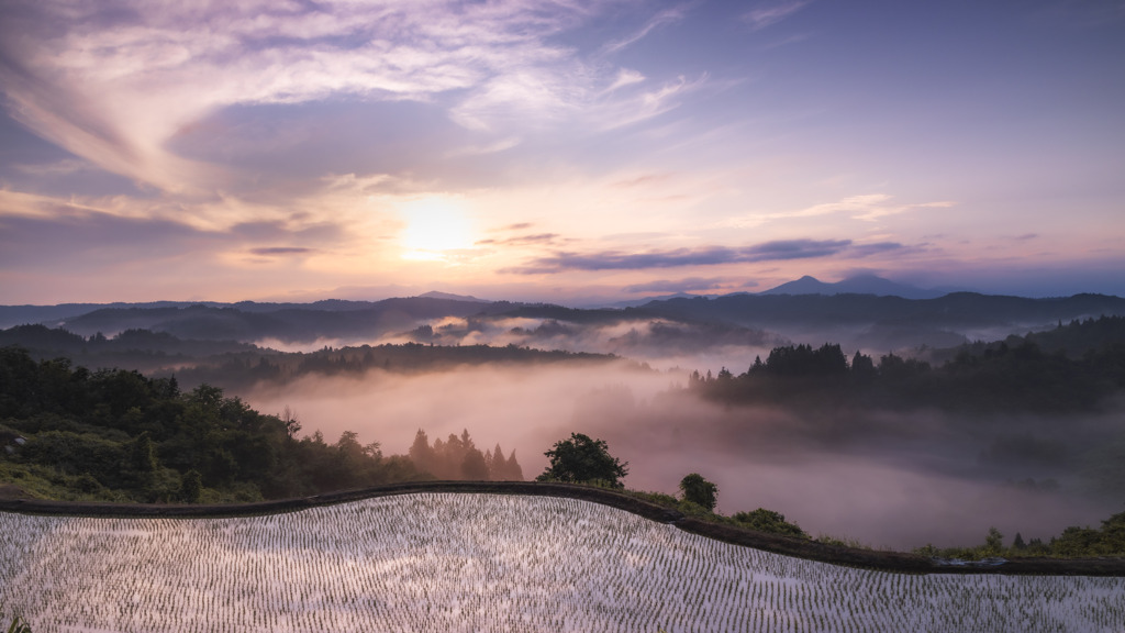 朝の情景