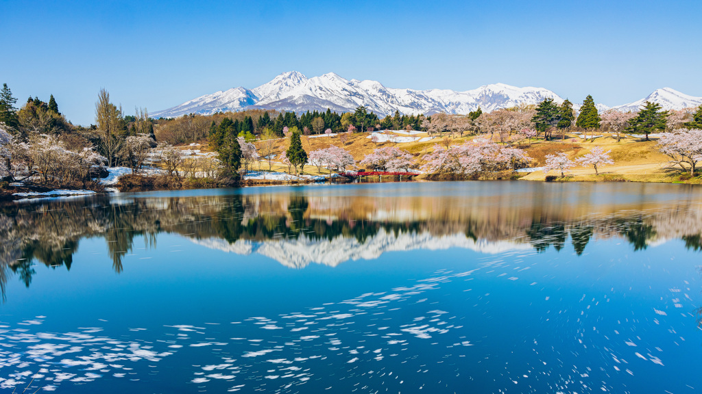 松ケ峰