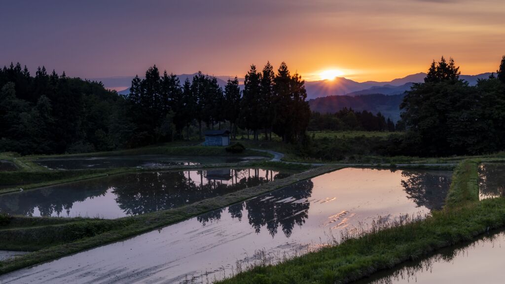 里山の朝