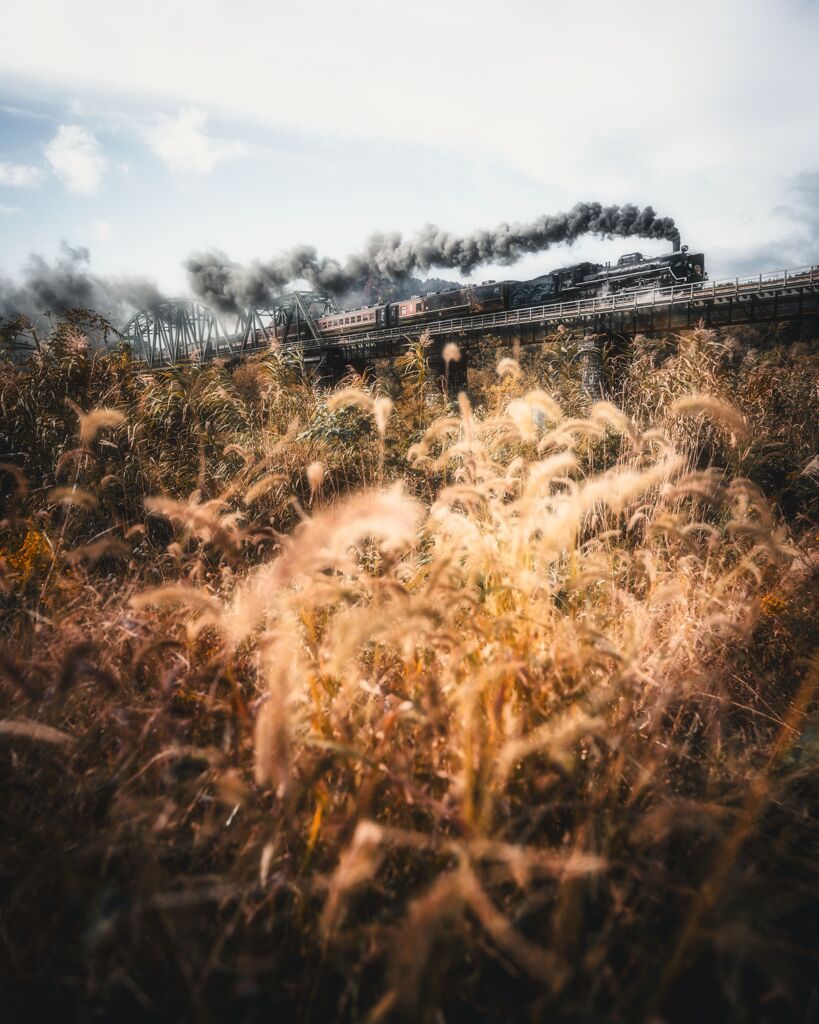 秋走るばんえつ物語号