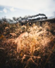 秋走るばんえつ物語号