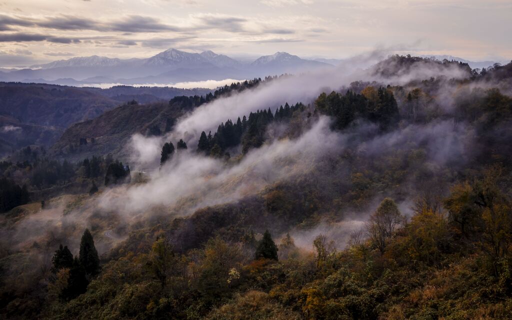 霧立つ朝