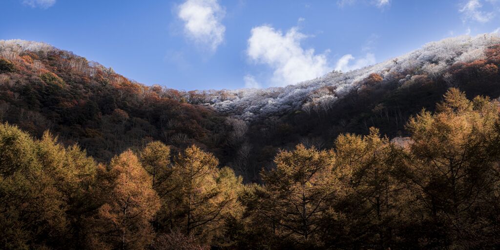 雪化粧