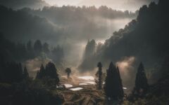 朝霧