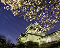 長岡城(郷土資料館)と桜