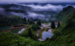 雨上がり