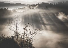 朝の情景