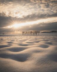 雪えくぼとはさぎ