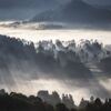 霧に包まれる里山