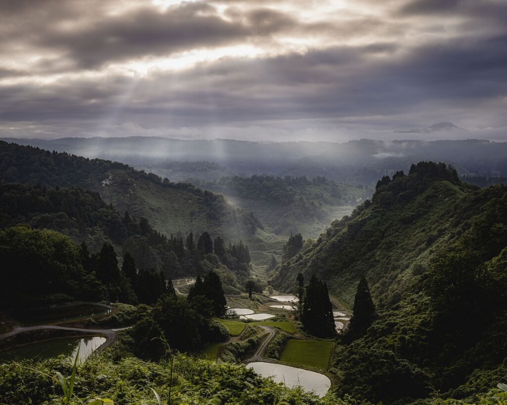 朝の情景