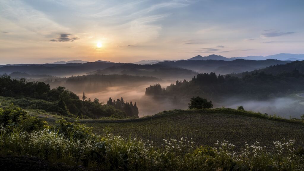 朝の情景