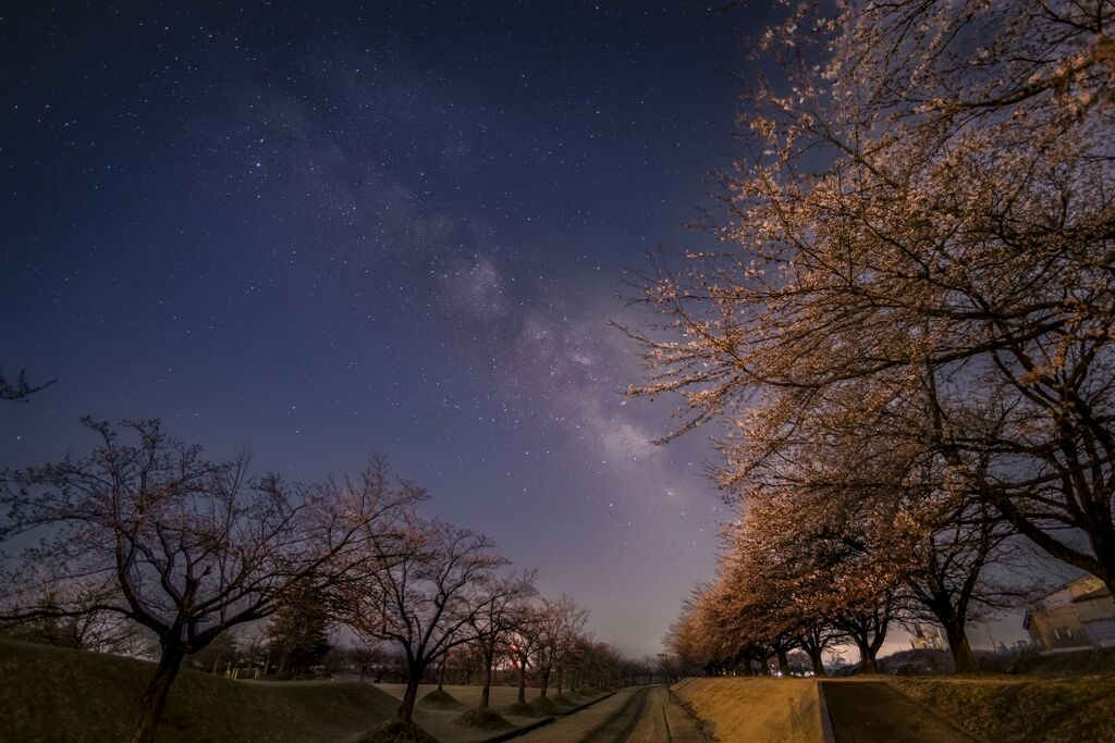 天の川と桜