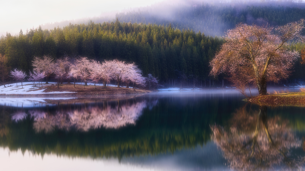夢見心地