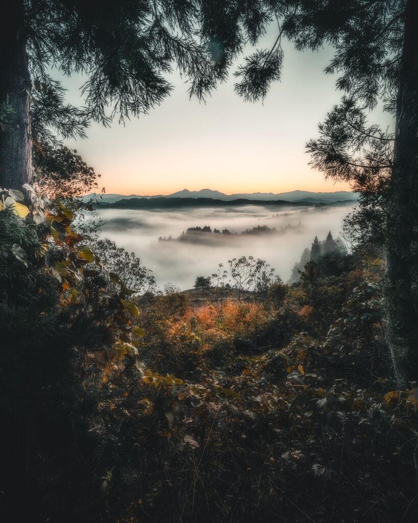 雲海