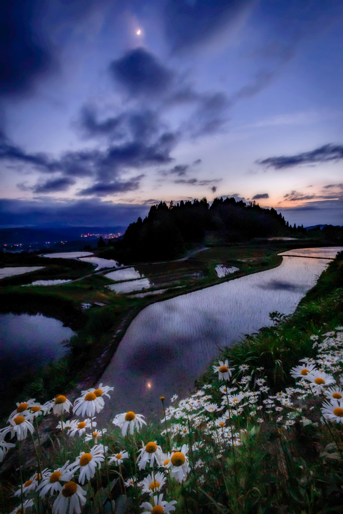 夕刻の頃