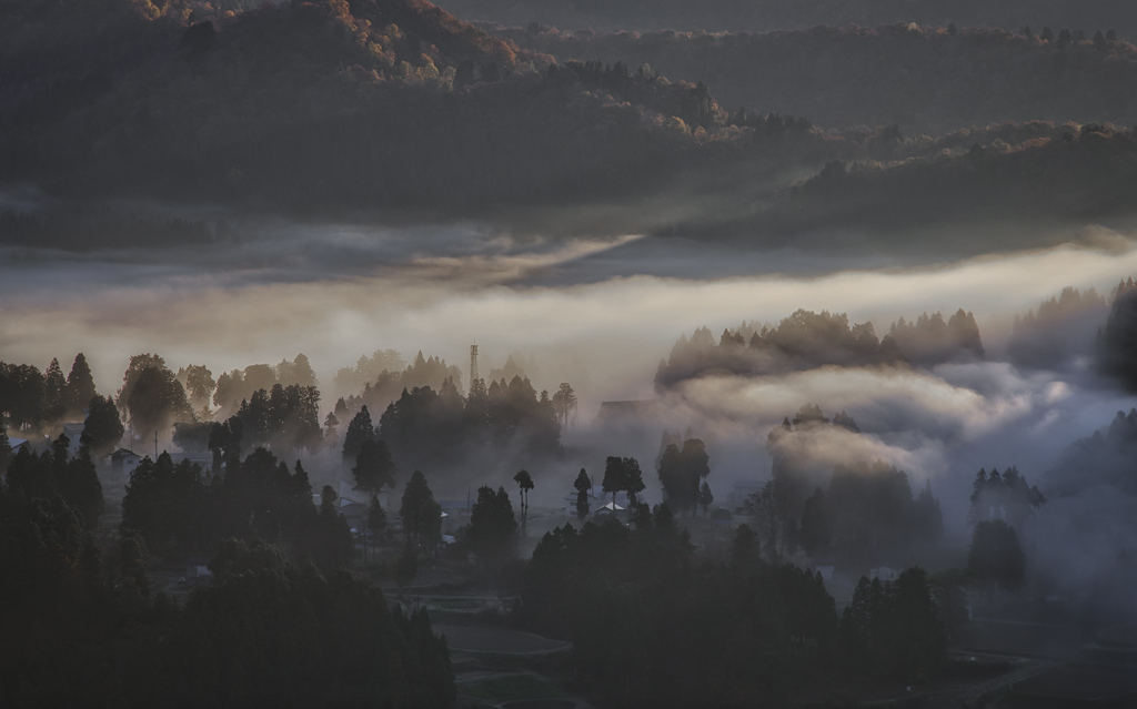 里山の朝