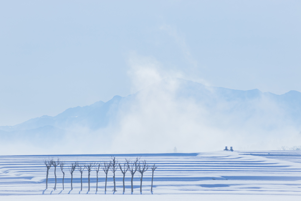 朝の情景