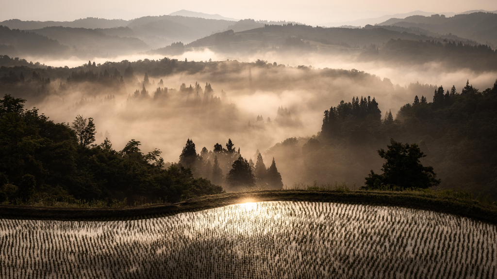 朝霧