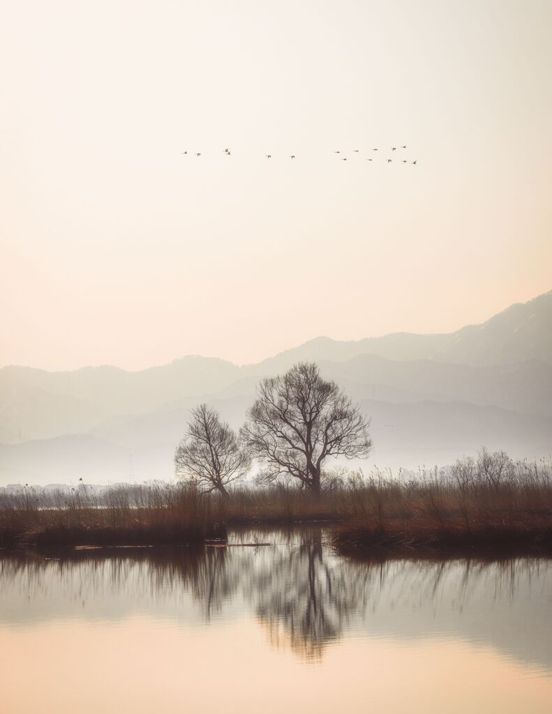 冬の情景