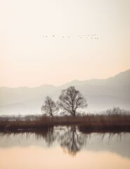 冬の情景