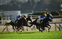 東京競馬場から