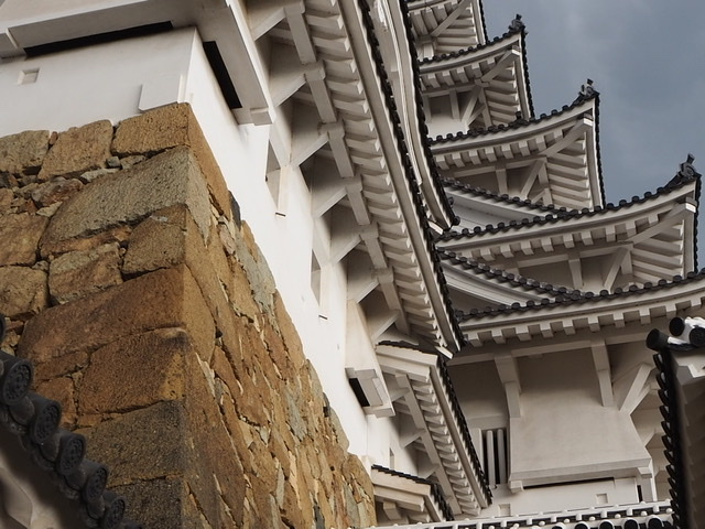 真下から