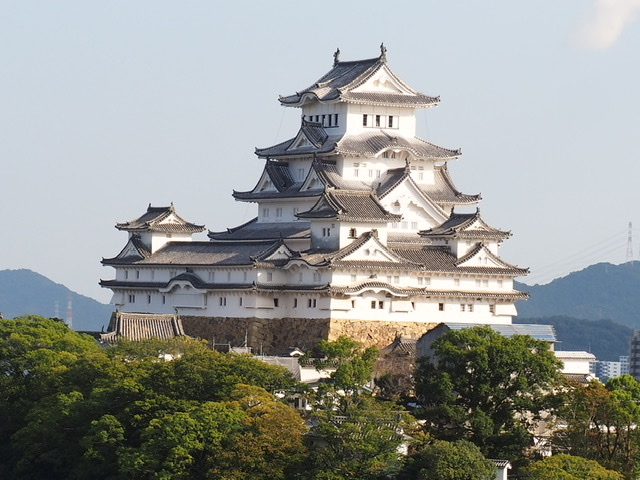 リハビリがてら