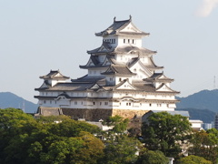 リハビリがてら