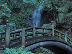 昨日の雨で