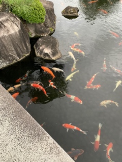 好古園