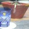 蚊取り線香と芋焼酎