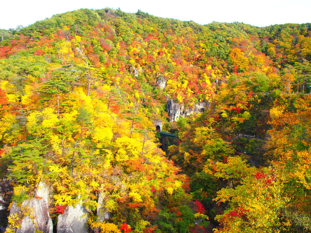 紅葉