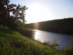 夕焼けの川沿い