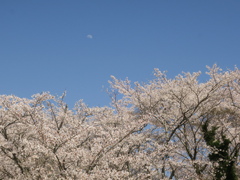 月と共に