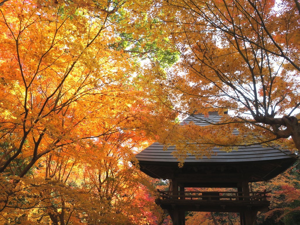 両足寺
