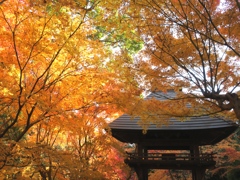 両足寺