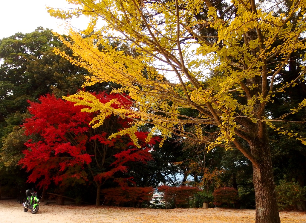 光・般若寺