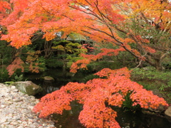 今年の防府天満宮