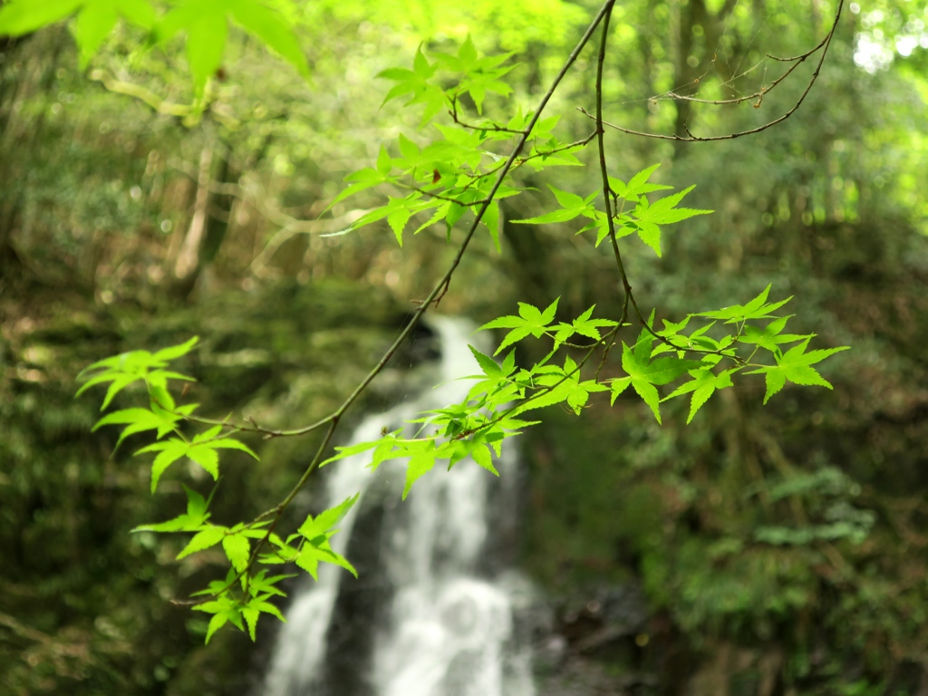 白糸の滝