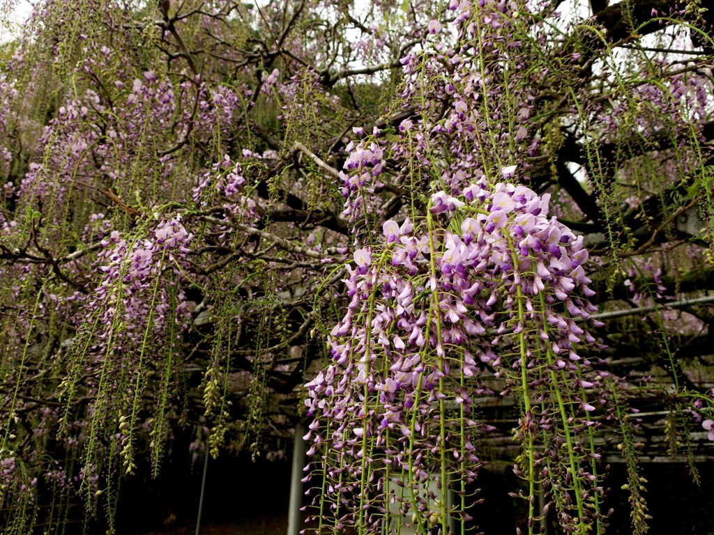 長正司公園にて