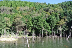 山口のプチ上高地