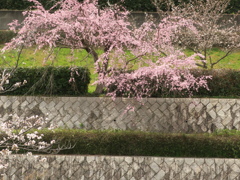 セミナーパークにて